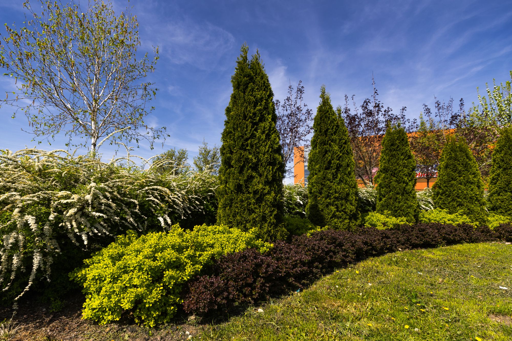 zdjęcie z ogrodu kieszonkowego powstałego w 2022 roku na terenie Rzeszowa, fot.Grzegorz Bukała,Urząd Miasta Rzeszowa/archiwum